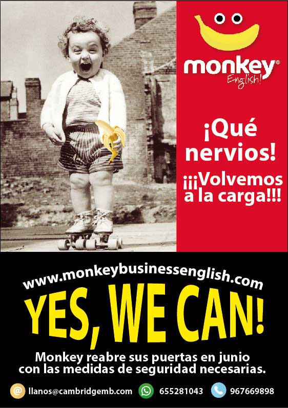 banner-monkey-movil